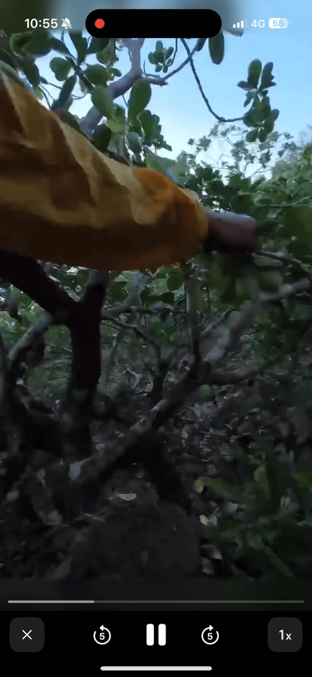 毛里求斯旅游遇游客坠崖 他提供无人机并冒险下山搜救 遇难者父亲:黑暗时刻感谢支持-华闻时空