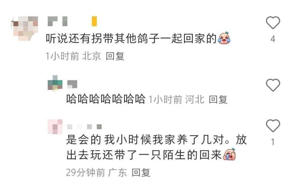 参加阅兵的8万只鸽子都是“借”的？气球都去哪儿了？