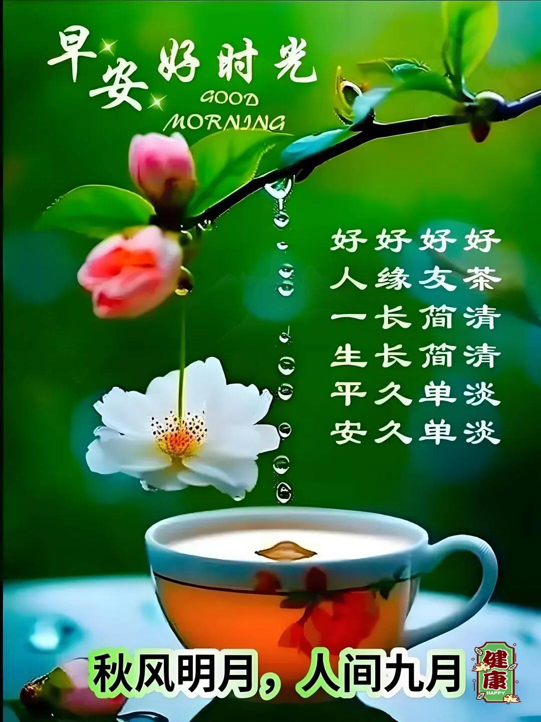 9月5日最漂亮早上好动态表情图片大全,早晨好动图美图大全