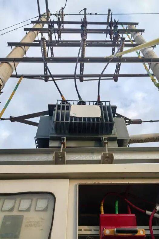 最新！茂名公布6起典型案例！