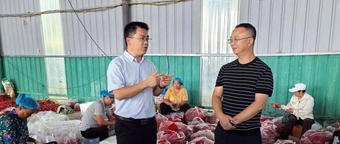 杨绪春到尖山乡、果珠乡调研辣椒产业_发展_种植_群众
