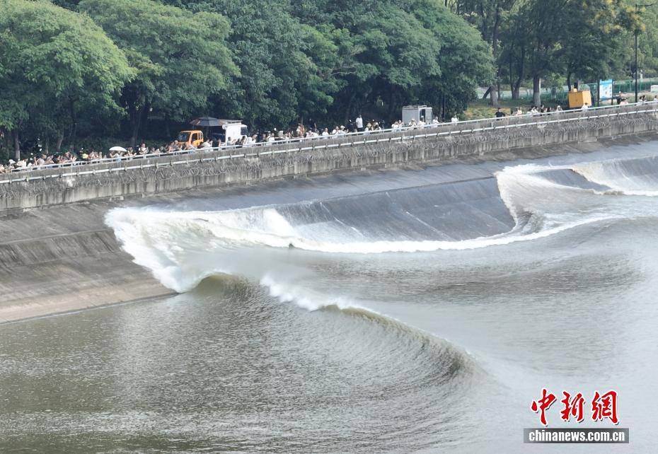 浙江杭州：钱塘江“鬼王潮”吸引民众