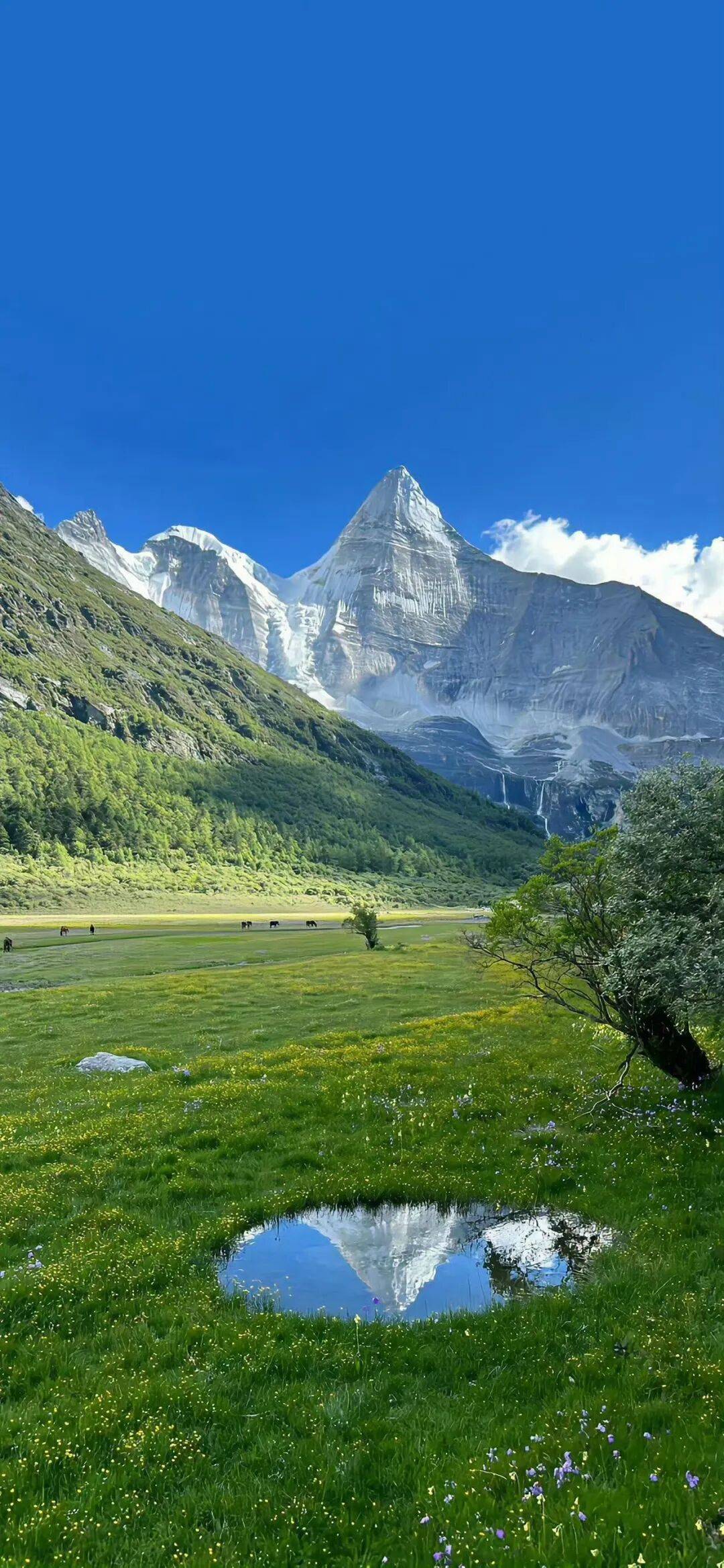 20张 ios高清优质壁纸