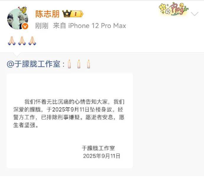 事关于朦胧坠亡，多平台出手！知名网红民警谈“排除刑事案件”…