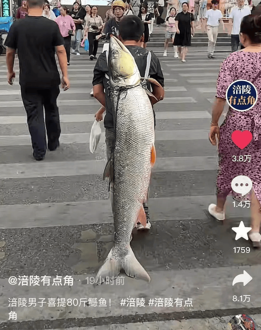 男子钓上79斤大鱼，背着在街上显摆20多分钟，当事人：有人想出1000元买，自己没卖