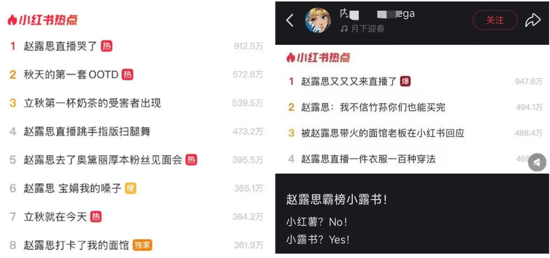 12年来首次被单独“约谈”，小红书难以抉择的十字“露”口
