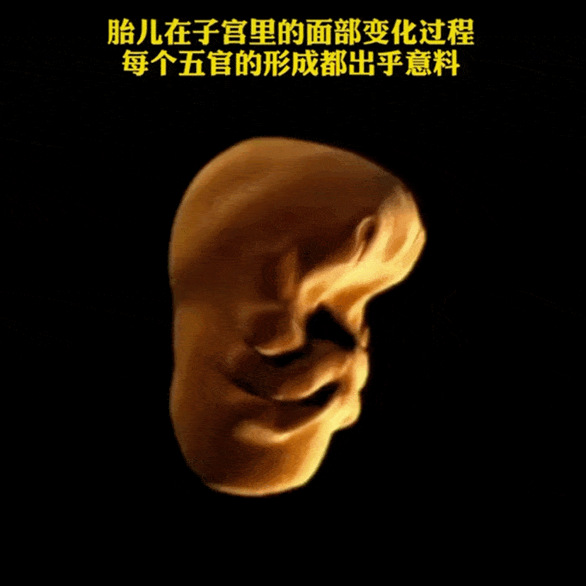 因为没有鼻子,她被骂上热搜!深圳全网寻人,免费做"嘴替"