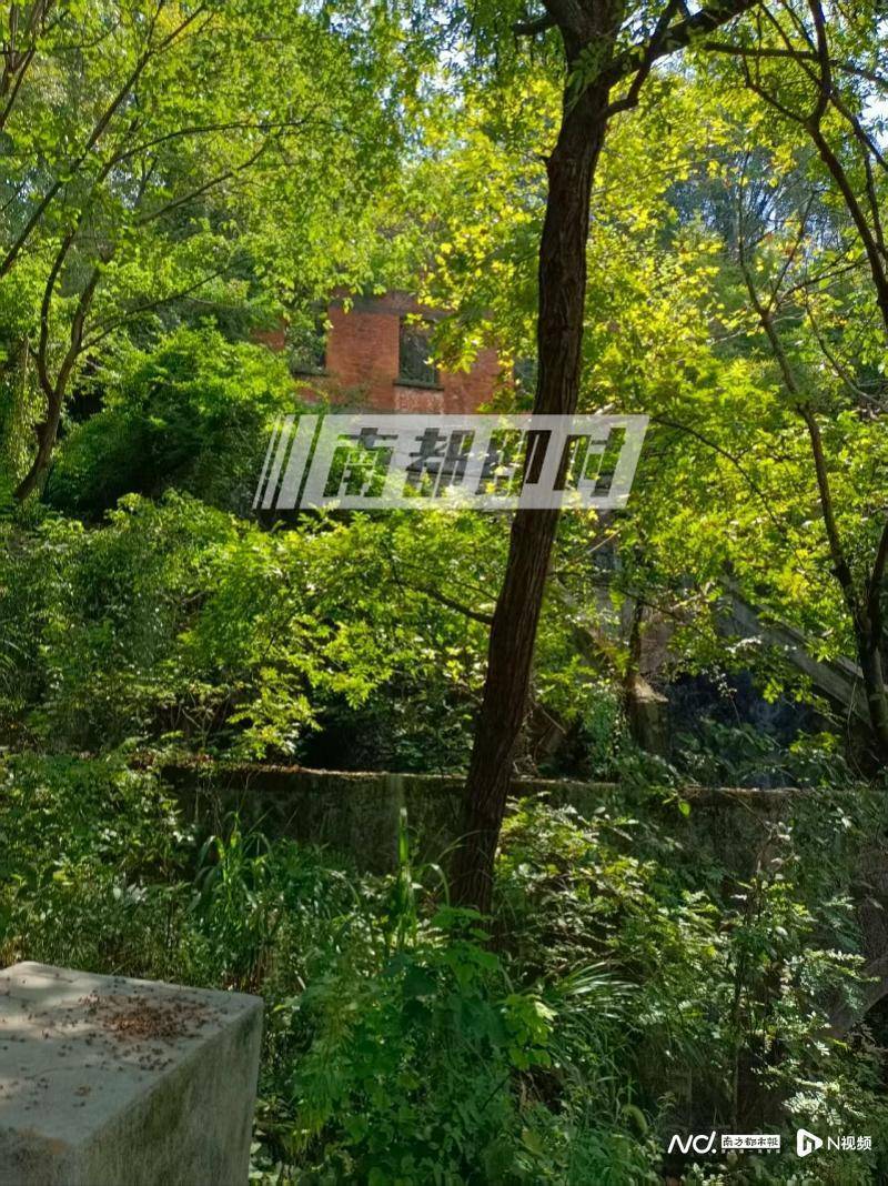 杭州女子氢氟酸中毒身亡，当地称锁定化学品所有者！发现三桶