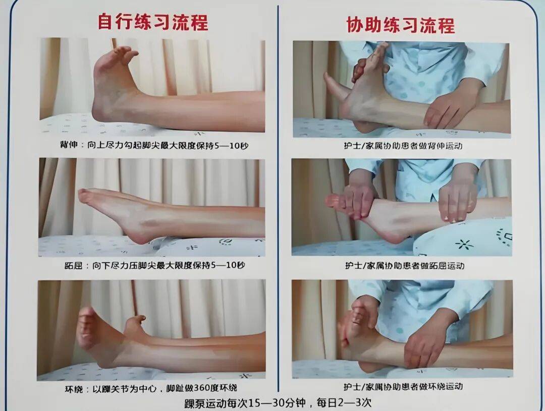 保护与基础恢复期早期