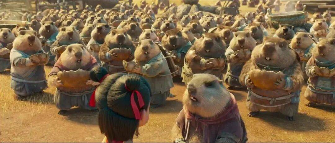 图片[4]-去高原遇到这网红，劝你看看就算了 -华闻时空