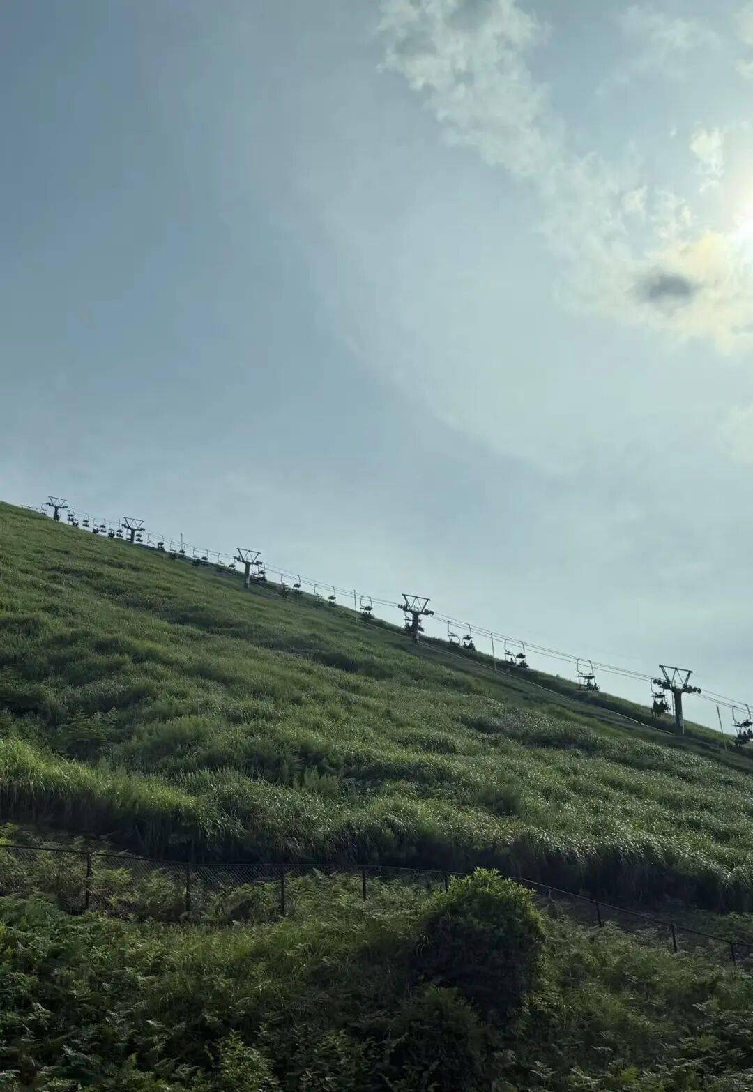 校园食品，避免格林吉特的问题，这将如何困难