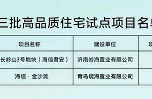 海信双盘荣登山东省第三批高品质住宅试点项目名单_空间_标准_济南