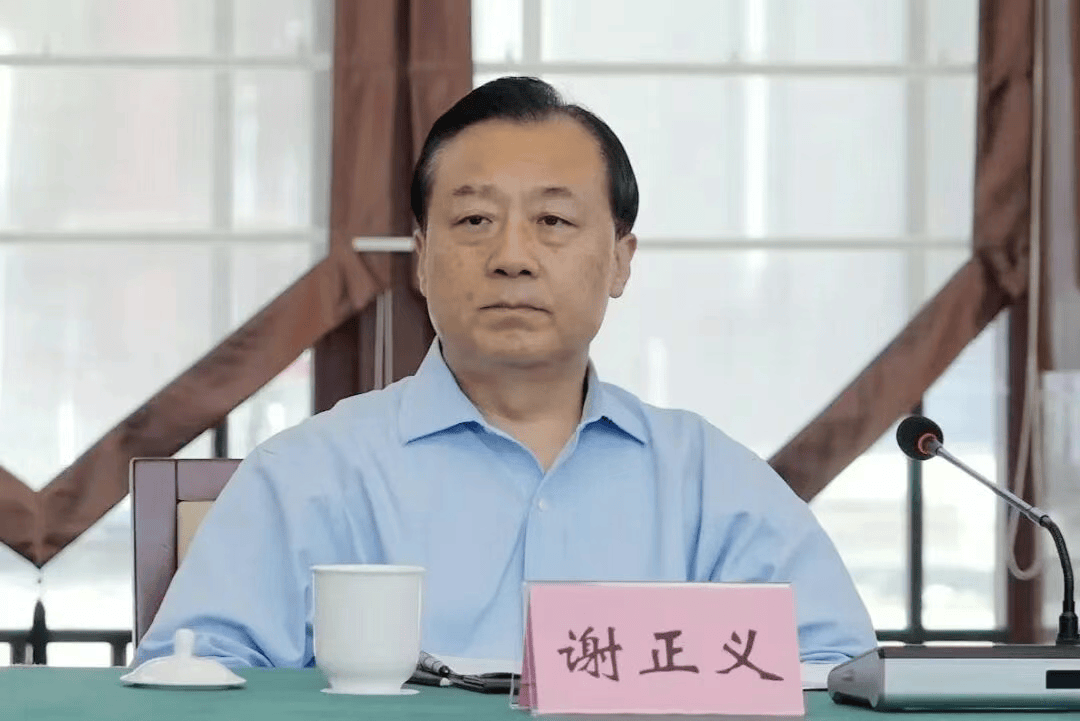 谢正义，被查