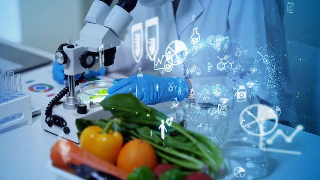 共筑食品安全防线 共享健康美好生活
