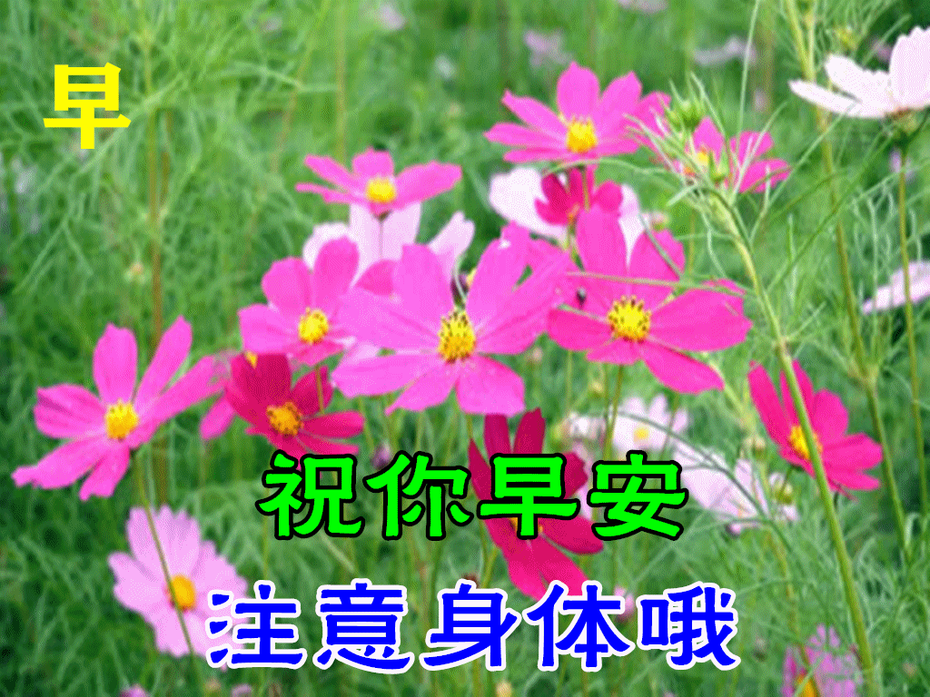 9月27日秋天早上好动态表情图片及早晨好动图美图大全