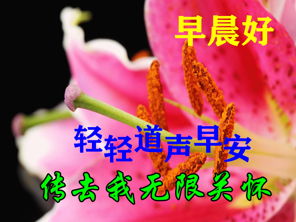 9月27日秋天早上好动态表情图片及早晨好动图美图大全