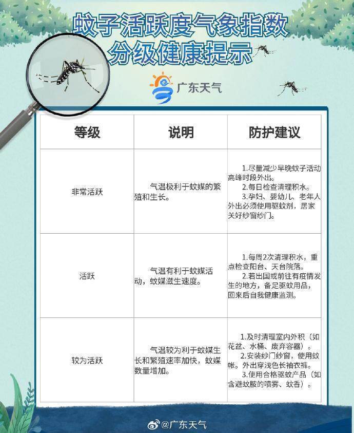 台风“博罗依”将为广东带来强降雨，为何今年台风扎堆出没？｜温度记