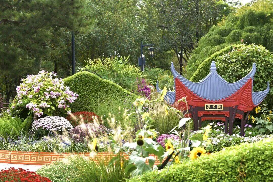 西城官宣！陶然亭公园菊花文化节来了