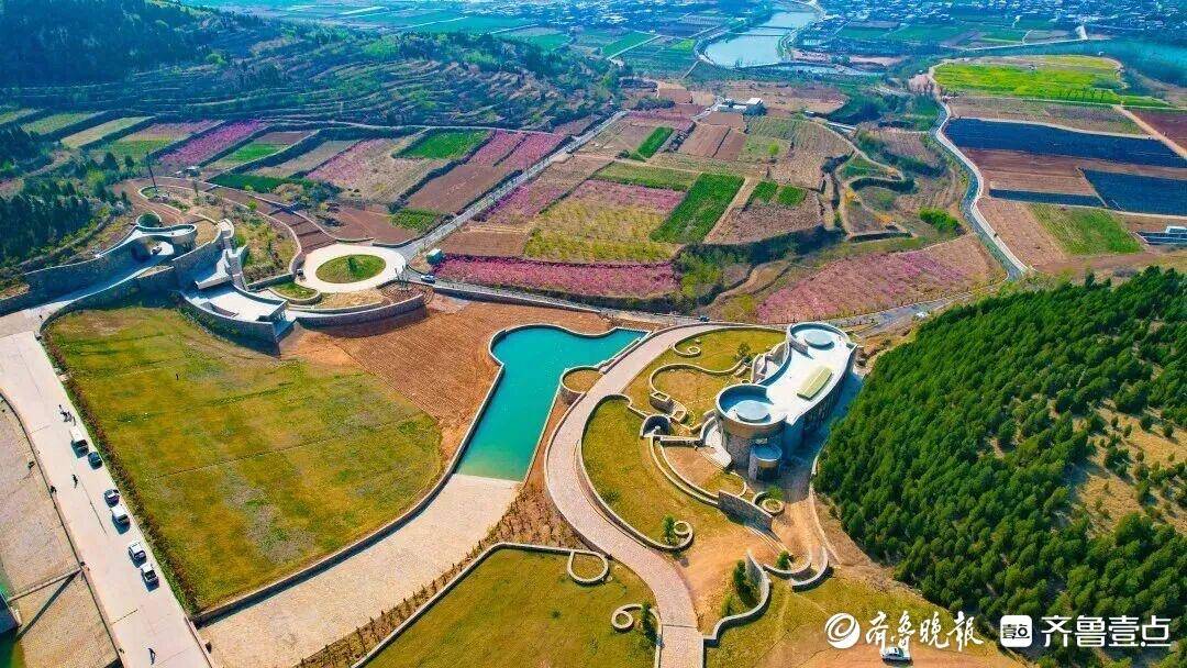 一缕药香出田野，济南长清中医药产业发展跃上新台阶_文化_药材_种植