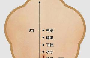 神阙穴:肚脐处的“生命根蒂穴”,一文读懂定位、功效与养护指南_腹部_艾灸_穴位