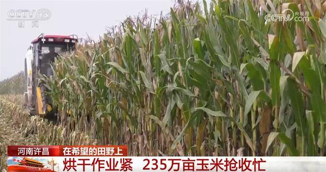 良机良技良法护航秋日“丰”景 “科技+”为乡村产业振兴注入鲜活动能