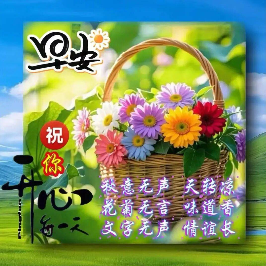 2025新版早上好动态表情包,朋友圈最新版鲜花早上好问候美图