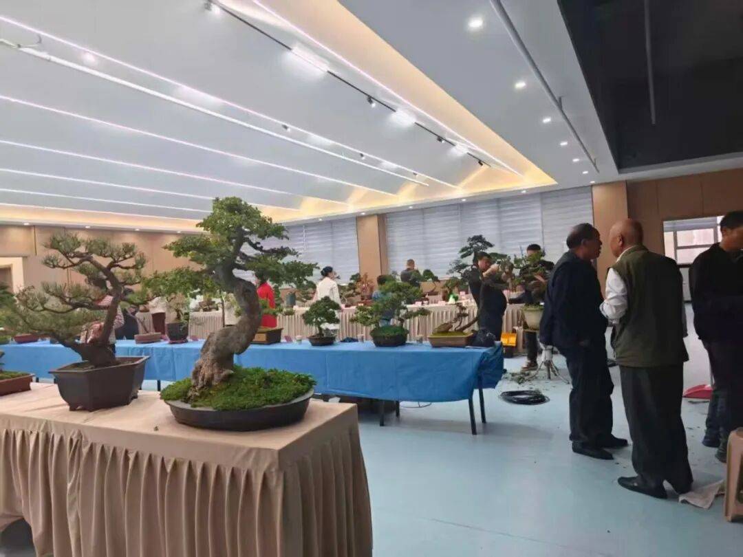 国庆假期前三日，洛南文旅市场活力迸发！