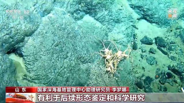 载人+无人 我国双潜器在北极深海实现多个首次