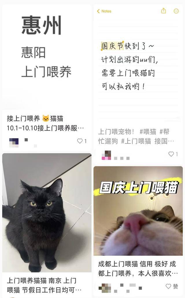 需求激增！男子长假连接270单，其中一笔收费8100元，“我有多套房，有双学位，客户很信任”；律师提醒