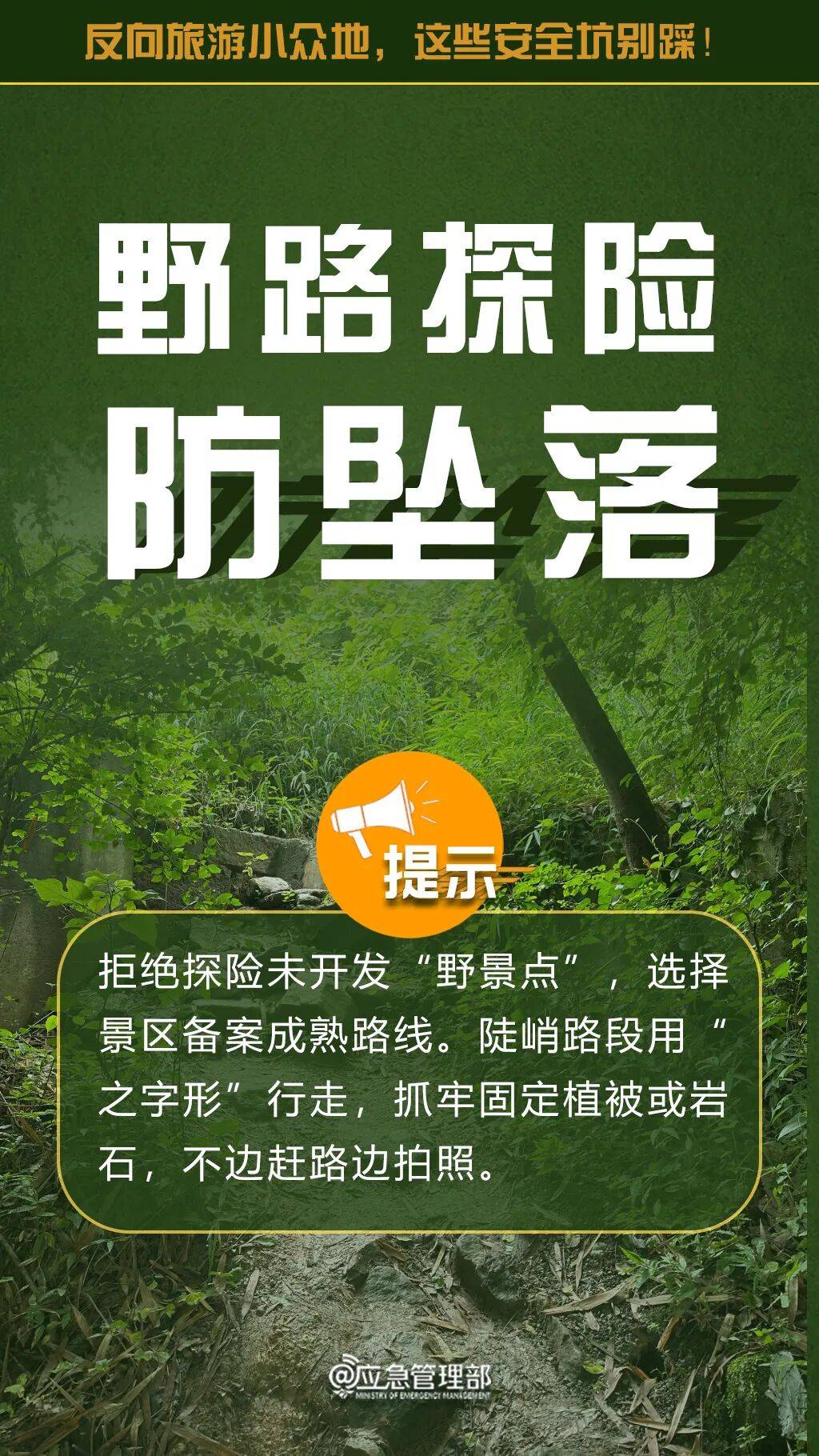 反向旅游，这些“安全坑”一定不要踩