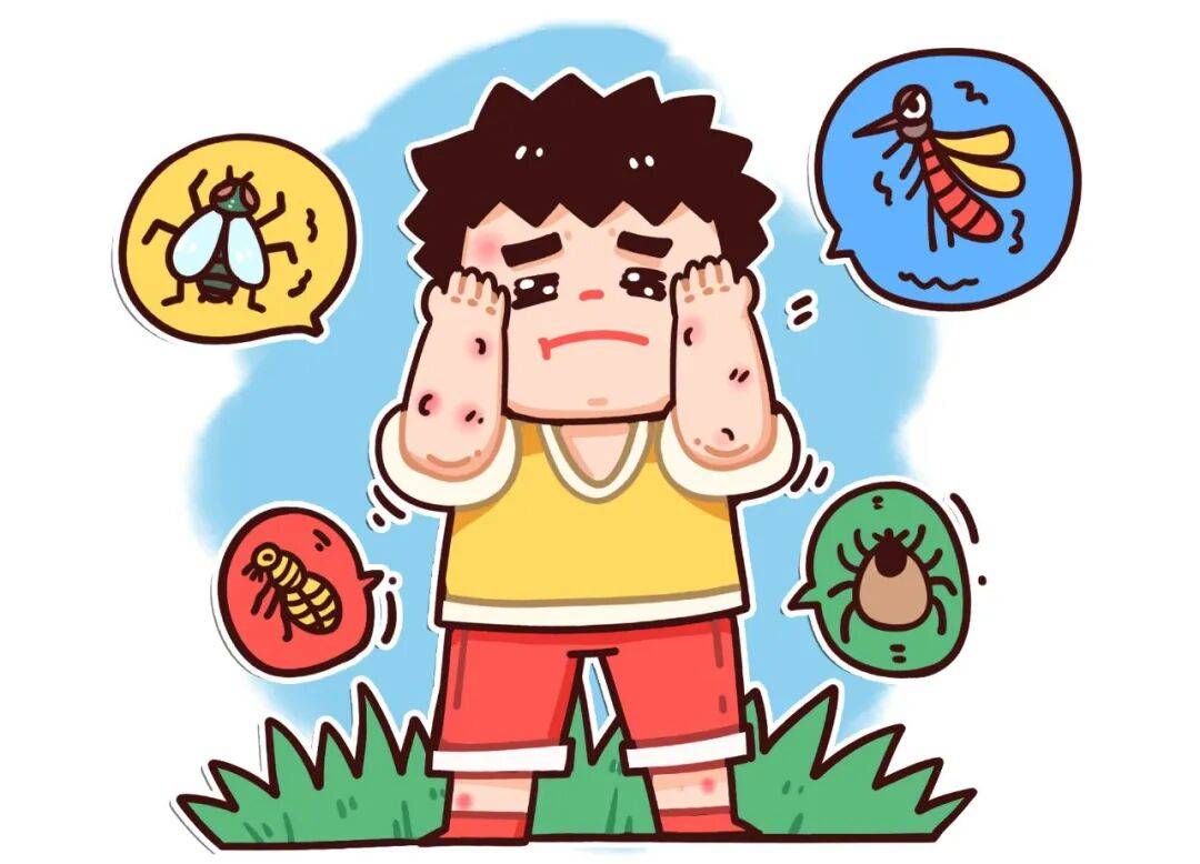 假期安全不“掉链”！出血、腹泻、虫咬这样处理