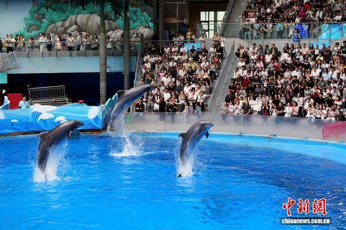 四川成都：民众海洋公园里过假期