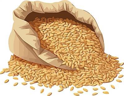 如何吃粗粒科学家？推荐这些方法→