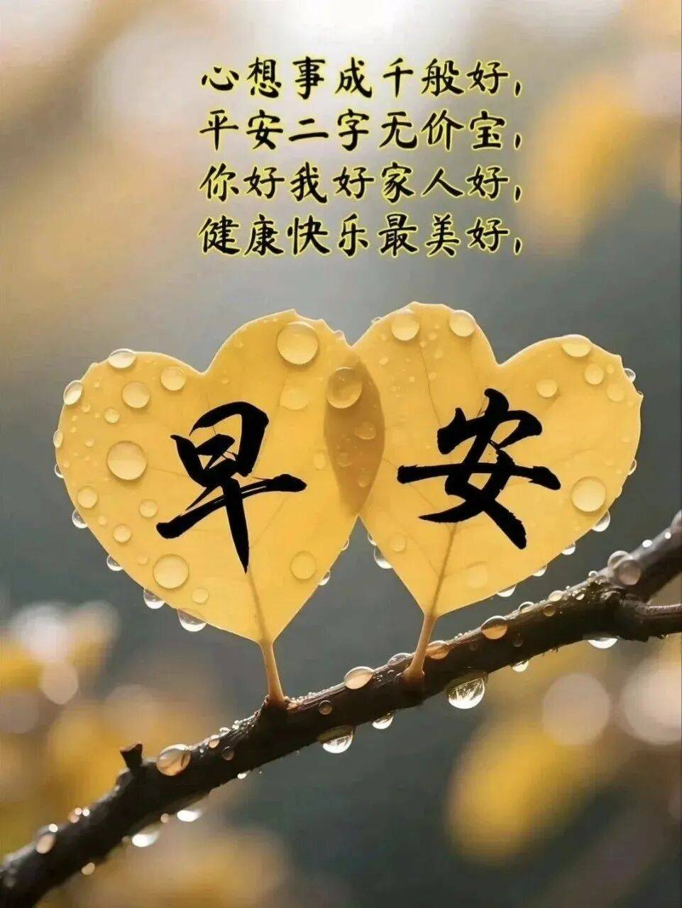 10月8日最漂亮早上好动态表情图片大全,早晨好动图美图大全