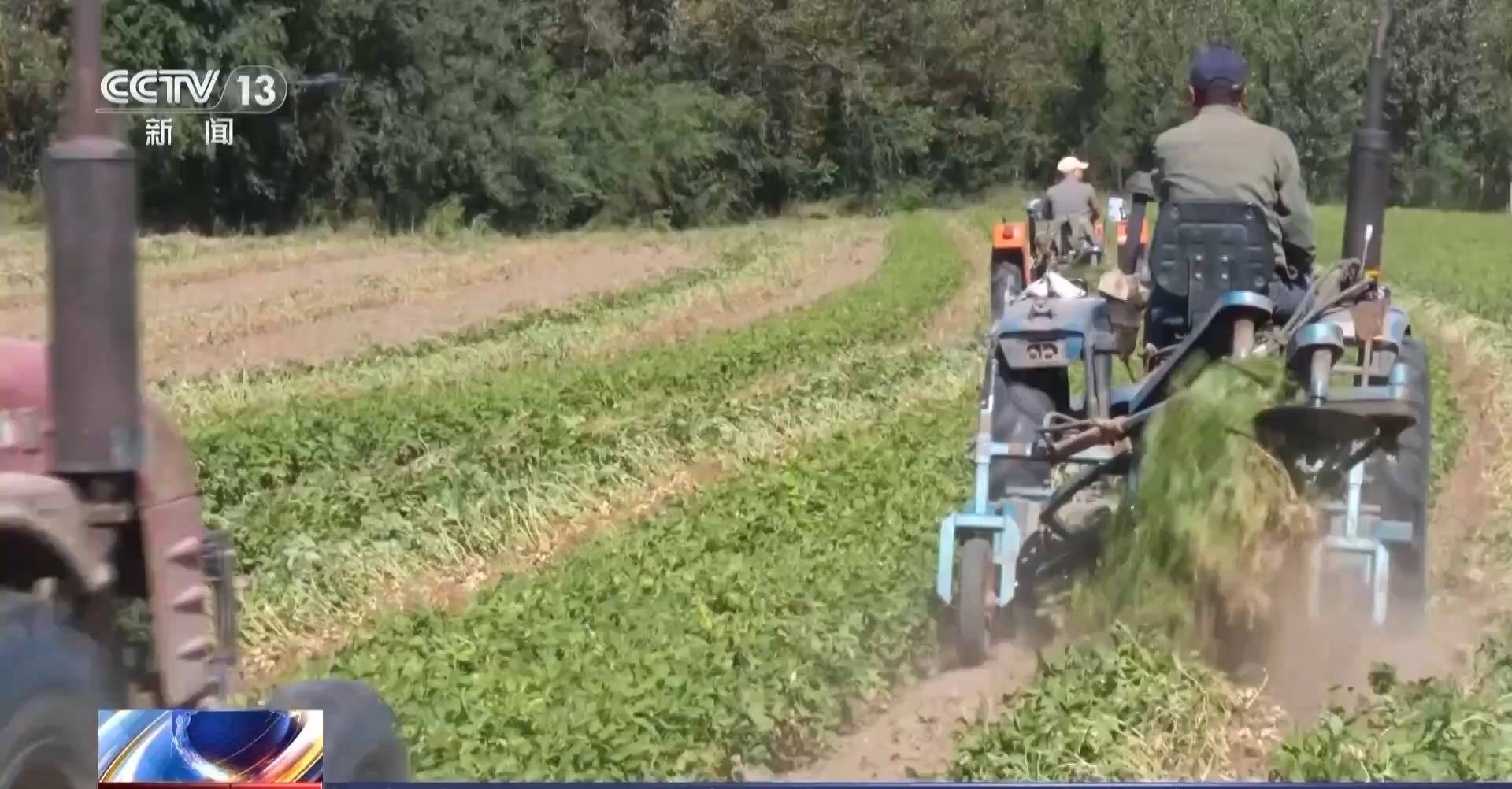 一大批农产品正走向你的餐桌！全国秋粮收获近四成