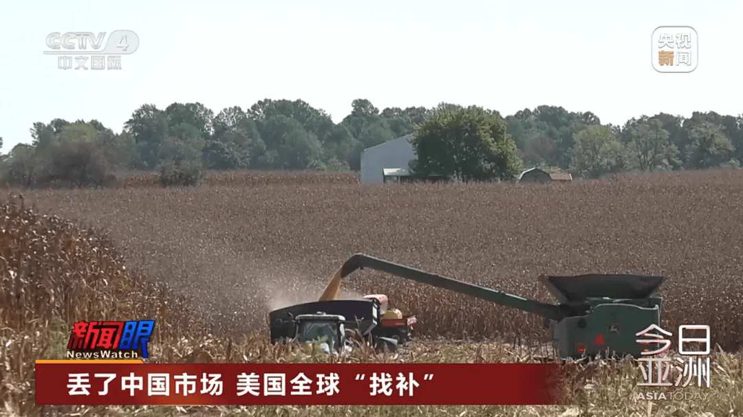 “中国一粒都没买”！大豆滞销，美国农民卖设备维持生计，“对特朗普的忠诚将接受考验”！特朗普满世界找买家，美协会急了：赶紧和中国谈
