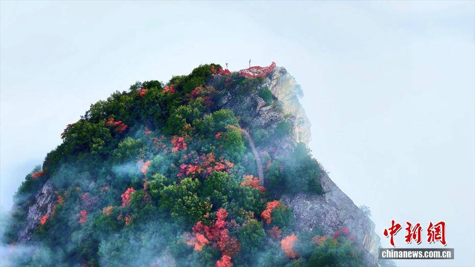 陕西西安：秦岭翠华山红叶云海美景同现