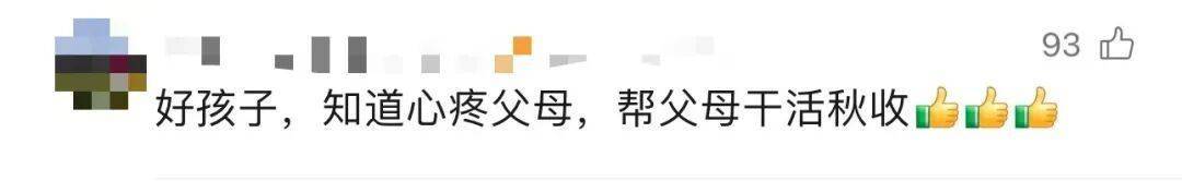 大学生8天假掰了7天半玉米：自己多弯一次腰，父母就少吃一点苦