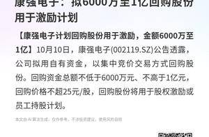 康强电子:拟6000万至1亿回购股份用于激励计划_资金_参考_集中竞价