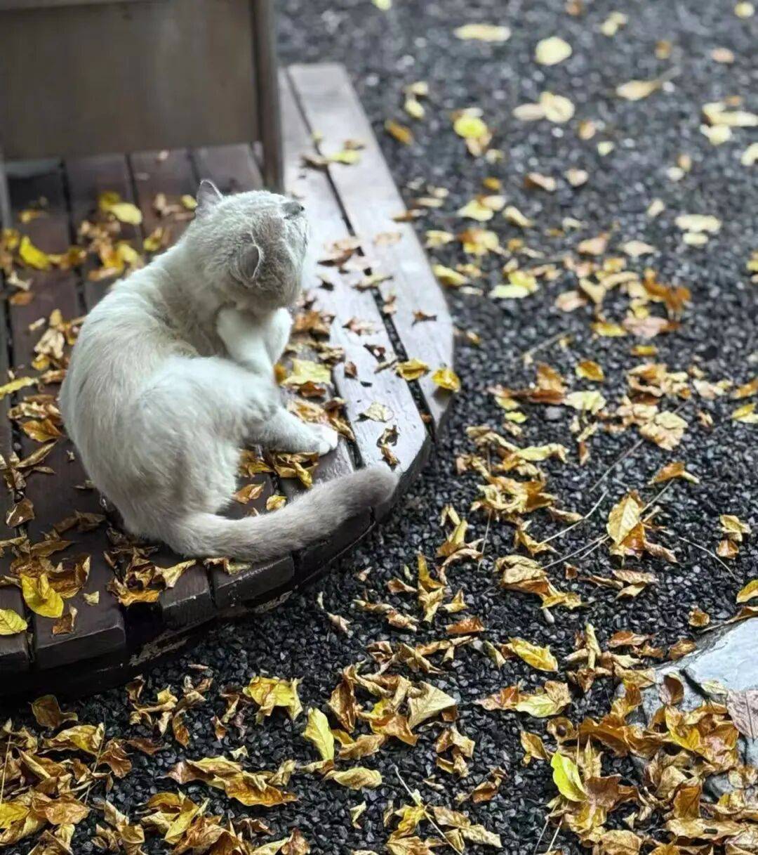 阴雨持续，注意防雨加衣~