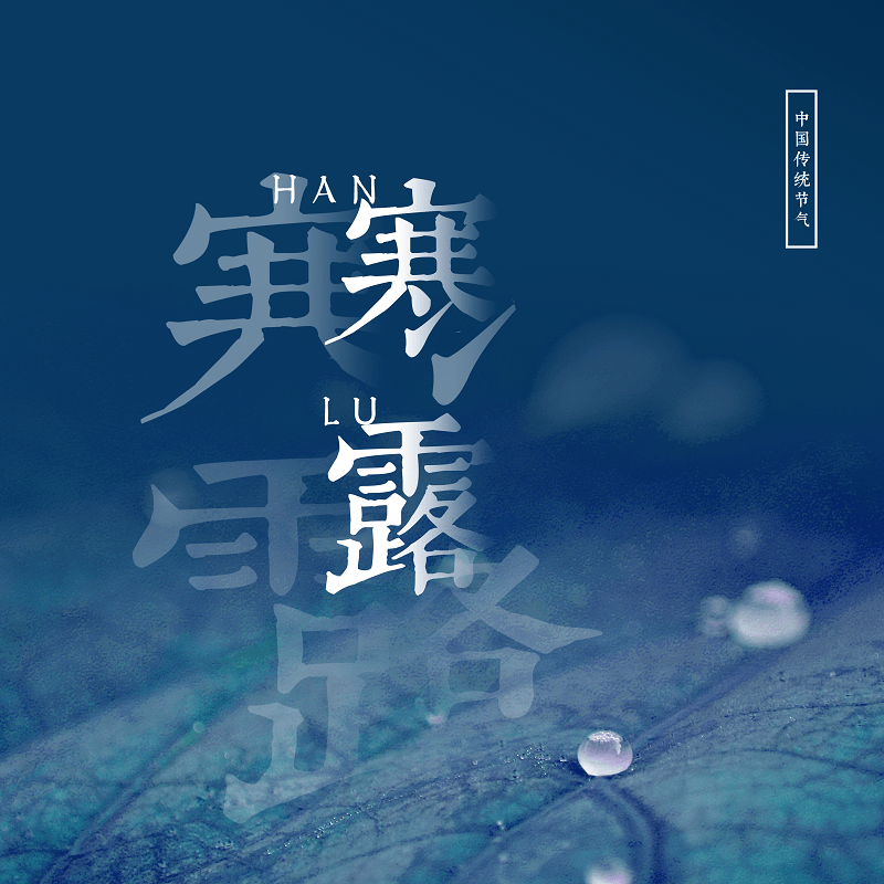 新图有声 | 寒露惊秋晚 朝看菊渐黄
