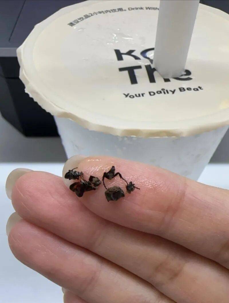 消费者称“KOI Thé”奶茶喝出昆虫尸体:已投诉到市监部门(图1)