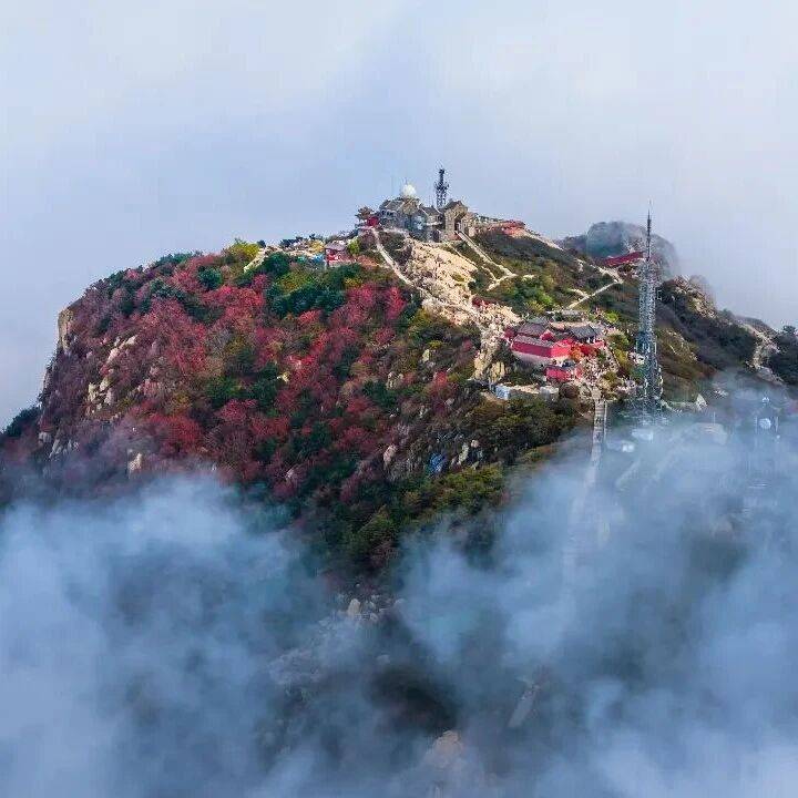 今日起,泰山中天门索道暂停运营10天_游客_桃花源_发车