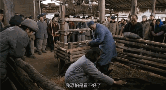 为什么说现在不缺牛马，就缺驴？