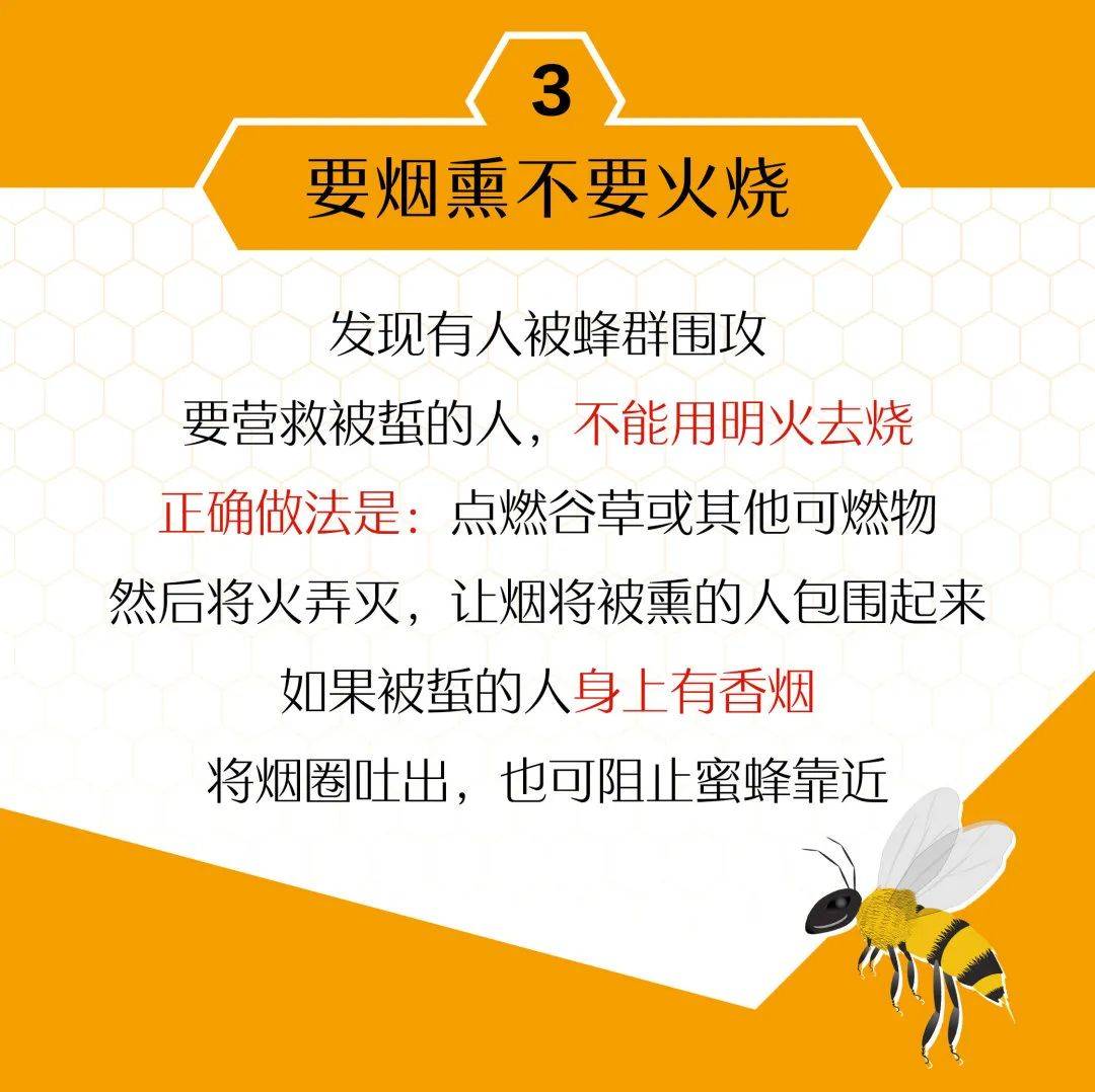带刺“插班生”悄悄“入学”幼儿园，被师生们连连拒绝