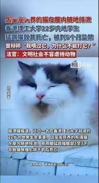 原创
            香港理工大学22岁内地学生踢死猫，被判5个月监禁！法官：文明社会不能忍-祁梦博客