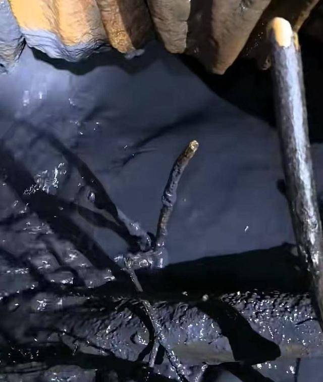 贵州毕节金沙一溶洞排出大量黑水：视频发布者称