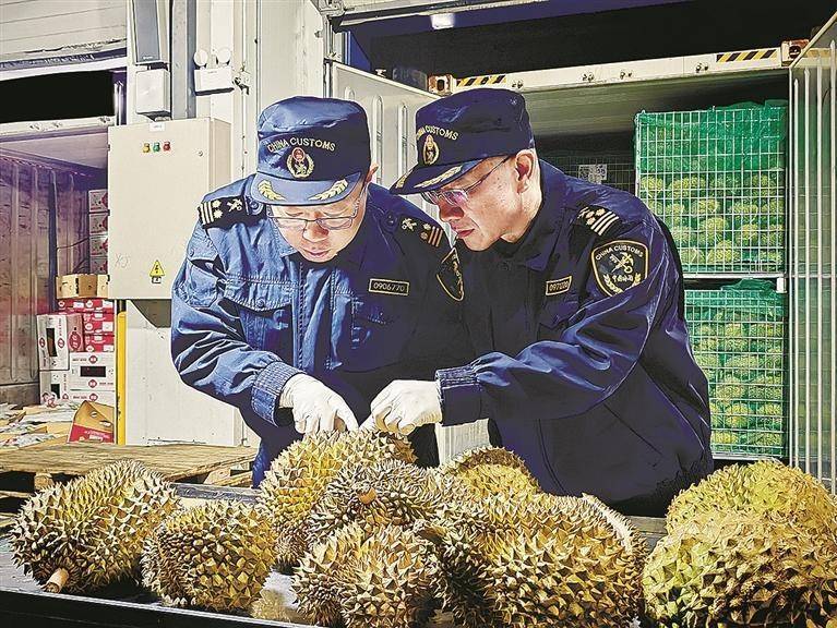 两周超4000吨鲜榴莲从大窑湾口岸通关入境