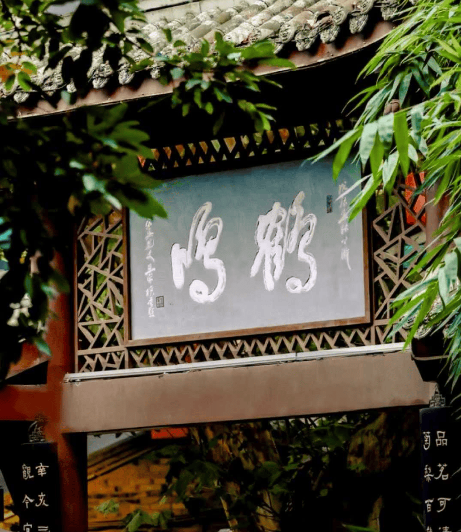 内含近4200㎡宠物店!成都龙湖三千集宠物社交 松弛生活打卡攻略