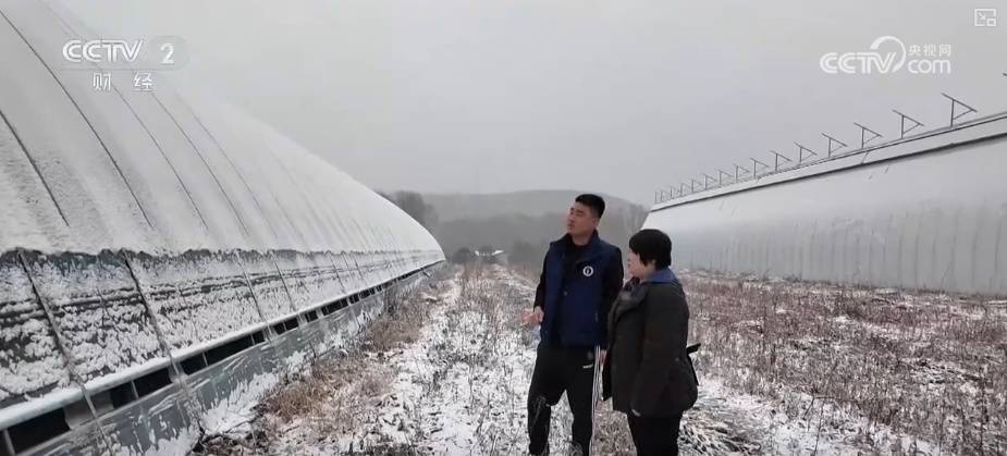 多部门协同细化服务应对“速冻式”降温 全力保障百姓生产生活